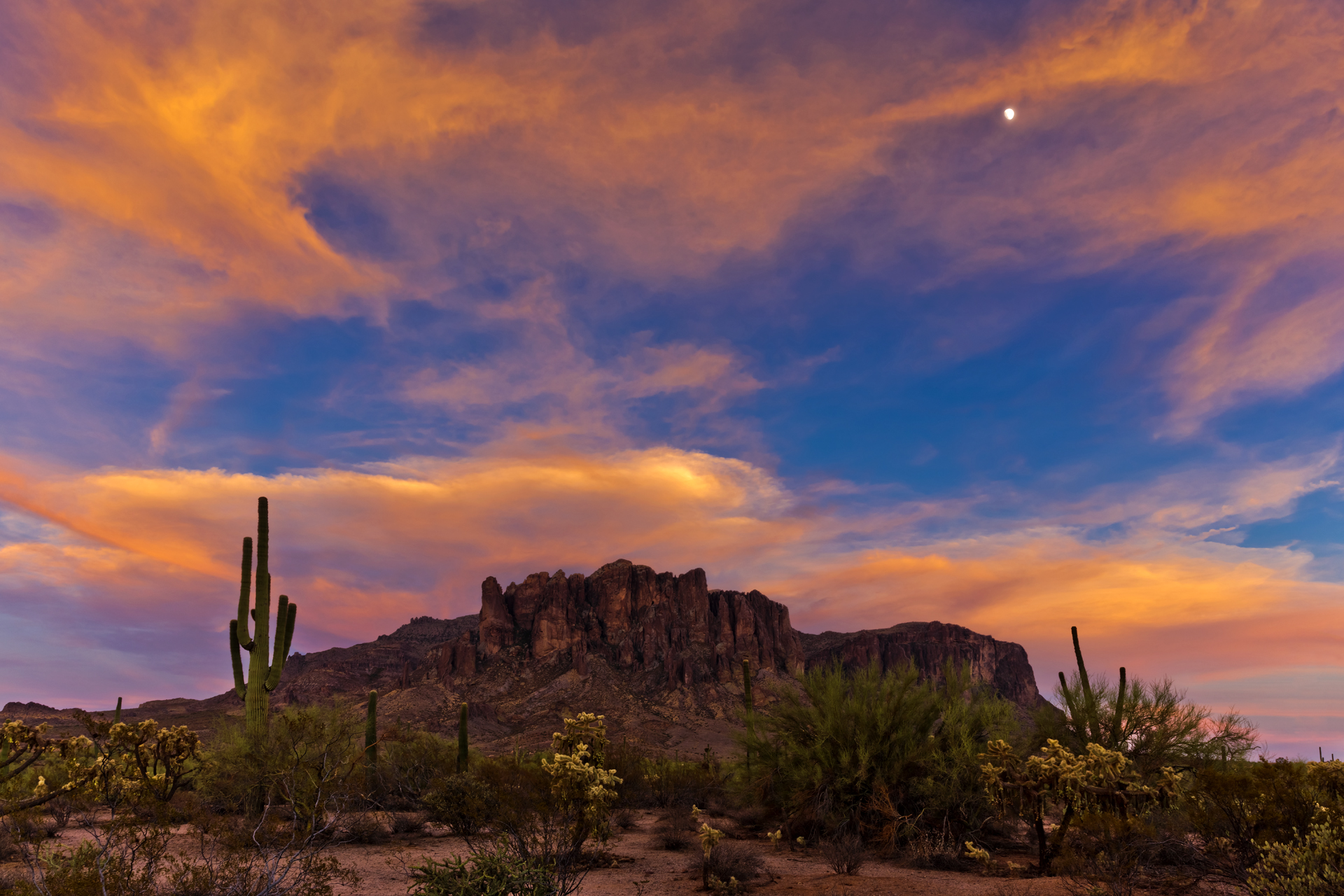 Phoenix skyline